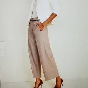 Ann Taylor 8Petite Belted Marina Wide Leg Taupe